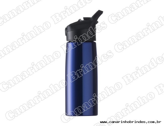 Squeeze Inox 700ml - 3691