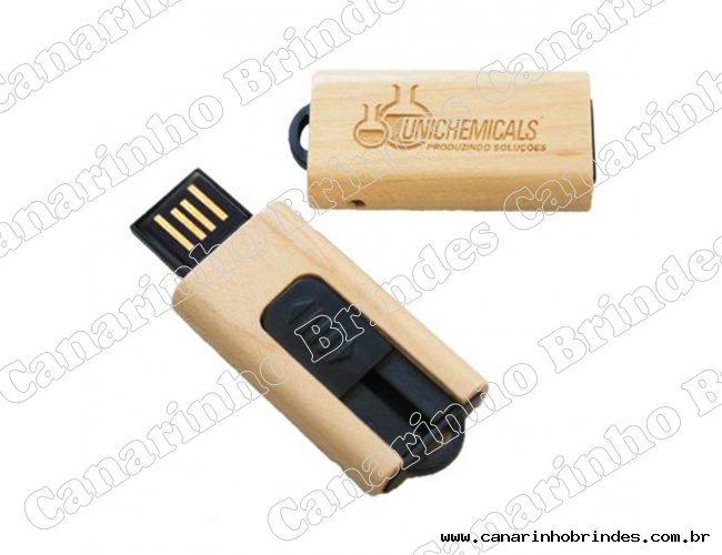 Pen Drive Madeira 3019